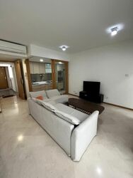 8 @ Mount Sophia (D9), Condominium #539430581